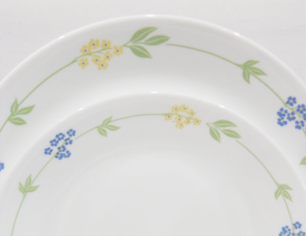 Corelle SECRET GARDEN *Choose 1/2 LUNCH or 10 1/4 DINNER PLATE