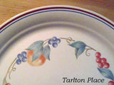 1 Corelle ABUNDANCE 8 1/2" LUNCH Salad PLATE Fruit Harvest *Sandstone Ridge Bump