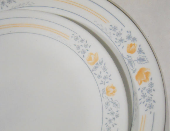 Corelle APRICOT GROVE Choose: 8 1/2 LUNCH or 10 1/4 DINNER PLATE Blue Floral